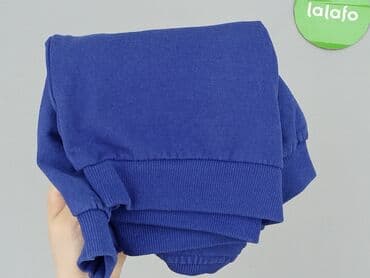 podkoszulki 3d allegro: Bluza, Disney, 3-4 lat, 98-104 cm, stan - Bardzo dobry — 6