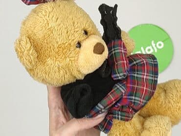 koszulka wilk i zając: Mascot Teddy bear, condition - Very good — 4