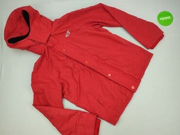 kurtka red bull zimowa: Hollister, Kurtka przejściowa damska, S — 2