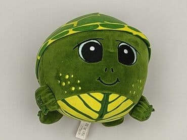 c: Mascot condition - Perfect — 2