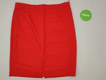 srebrne sukienki na imprezę: Women`s skirt, size 4XL (EU 48) — 2