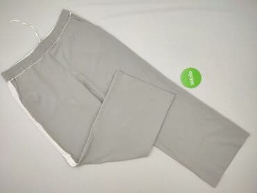 spodnie woskowane na gumce: Zara, Spodnie dla mężczyzn, L — 2