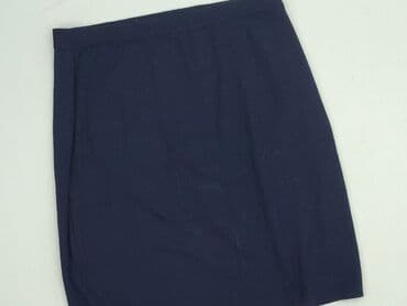 niebieska spódnice plisowane: Caprice, Spódnica damska, XL — 1