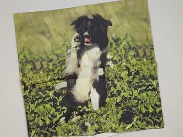 Pillowcases: PL - Pillowcase, 40 x 40, color - Green, condition - Very good — 1