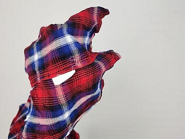 bluzki dalmatynczyk: Terranova, Koszula damska, rozmiar S — 5