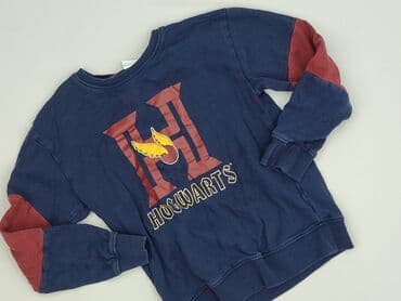 koszulka z psem: Sweatshirt, Harry Potter, 9 years, 128-134 cm, condition - Very good — 1