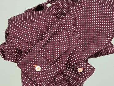 sukienka w pepitkę h: Shirt 5-6 years, condition - Perfect, pattern - Peas, color - Claret — 6