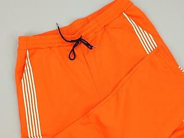 dragonball bluza: Spodnie dresowe damskie, rozmiar 2XL — 1