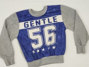 Sweatshirt, Niebieski Księżyc, 3-4 years, 98-104 cm, condition - Very good
