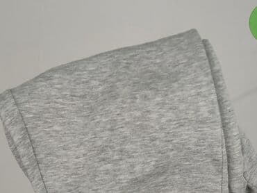 der oder das t shirty: Hollister, Spodnie dresowe damskie, rozmiar L — 6