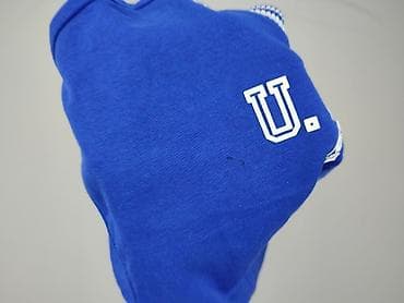 sweter guess: Us Polo Assn, Women`s sweatshirt, size S — 6