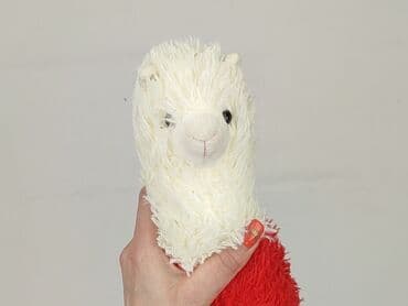 lidl kombinezon softshell: Maskotka stan - Bardzo dobry — 3