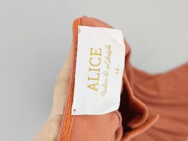 terrastyll sukienki: Sukienka damska, 2XL — 4