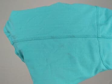 pitbull koszulka termoaktywna: Women`s T-shirt, size M (EU 38) — 5