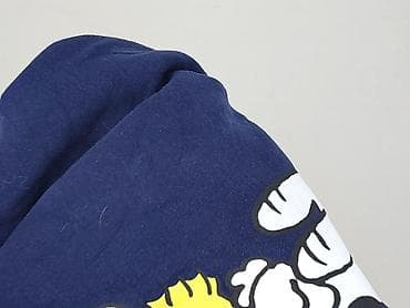 pitbull bluzki: Peanuts, Bluza damska
, rozmiar XL — 7