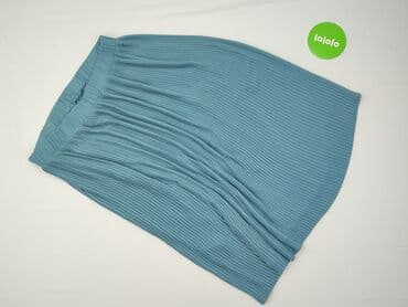 plisowane spódnice lidl: Janina, Spódnica damska, rozmiar XL — 3