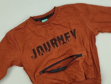 podkoszulki basic: Sweatshirt, Little kids, 3-4 years, 98-104 cm, condition - Very good — 1