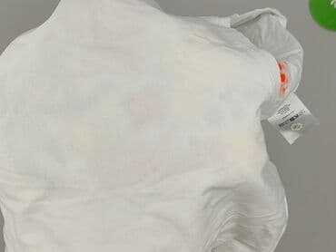 malfini t shirt: Malfini, Women`s T-shirt, size M — 6