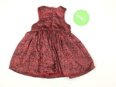 txm rajstopy: Dress, Orchestra, 9-12 months, condition - Perfect — 3