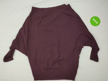 sweter z dinozaurem: Diverse, Sweter damski, L — 3