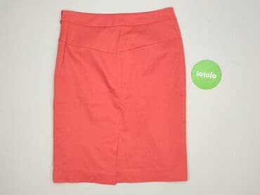 c a body: Eden, Spódnica damska, rozmiar 2XL — 3