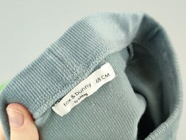 skarpety z twoim psem: Sweatpants, Sinsay, 3-6 months, condition - Perfect — 4