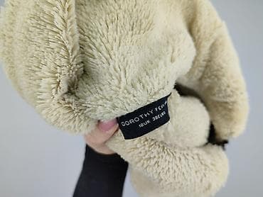 parka clockhouse: Dorothy Perkins, Women`s winter jacket, size S — 4