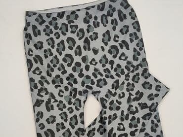 visone jaki to kolor rajstop: Legginsy XL — 1