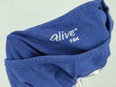 allegro rajstopy: Sweatshirt, Alive, 14 years, 158-164 cm, condition - Perfect — 4