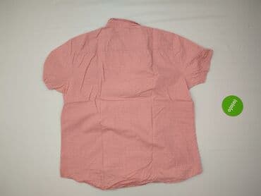 my little pony ubrania: F&F, Koszulа dla mężczyzn, rozmiar 2XL — 3