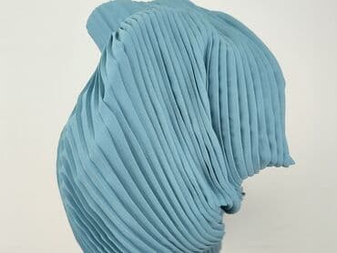 plisowane spódnice lidl: Janina, Spódnica damska, rozmiar XL — 6