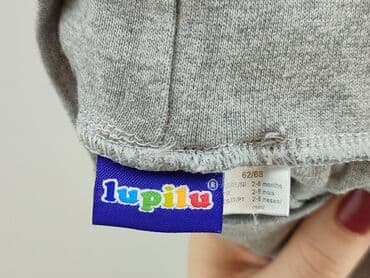 skarpety z twoim psem: Sweatpants, Lupilu, 3-6 months, condition - Perfect — 4
