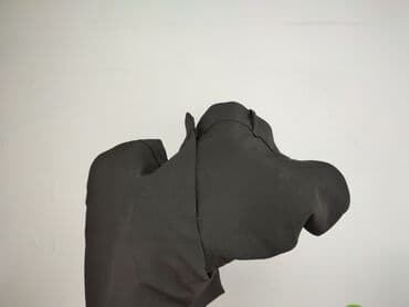 lidl termiczna bielizna: Dunnes Stores, Spodnie materiałowe damskie, rozmiar L — 6