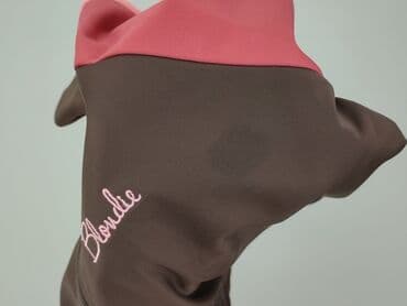 nago bluzy: Bluza damska
, rozmiar L — 6