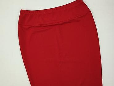 lenar plus: Shein Curve, Spódnica damska, rozmiar 2XL — 1