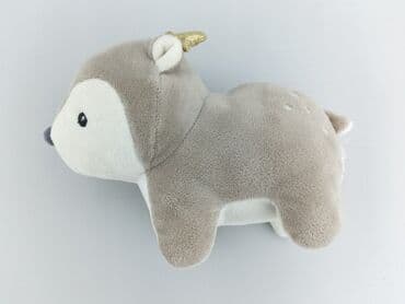 slask wroclaw koszulki: Mascot condition - Perfect — 2