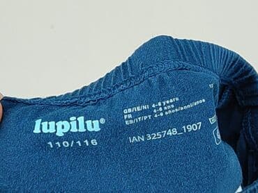 marex łódź koszule sklep internetowy: Panties, Lupilu, 5-6 years, condition - Good — 4