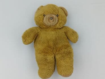 koszulka z mopsem: Mascot Teddy bear, condition - Very good — 2