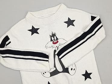 bluzy kizo: Looney Tunes, Sweter damski, rozmiar 2XL — 1