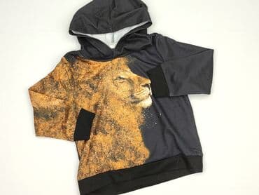ile wazy bluza: Bluza, Shein, 4-5 lat, 104-110 cm, stan - Bardzo dobry — 1