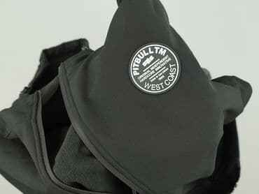 stradivarius sweterki: Pit Bull West Coast, Bluza z kapturem dla mężczyzn, L — 6