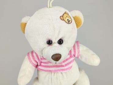 Mascots: Mascot Teddy bear, condition - Very good — 1