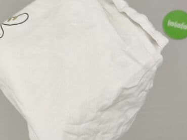 sinsay kapcie koty: Sinsay, T-shirt damski, rozmiar 2XS — 6