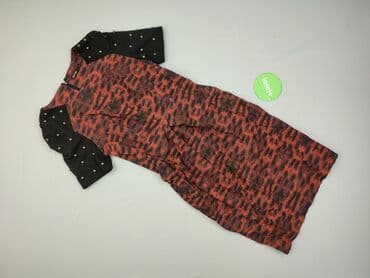 sukienka babylon olx: Beloved, Sukienka damska, rozmiar M — 2