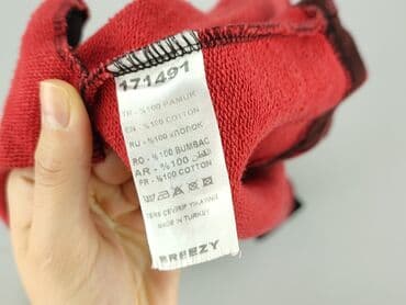 champion reverse weave t shirty: Women`s hoodie, size S (EU 36) — 4