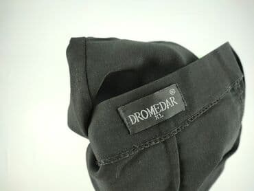 alphar one spodnie: Dromedar, Spodnie materiałowe damskie, XL — 5