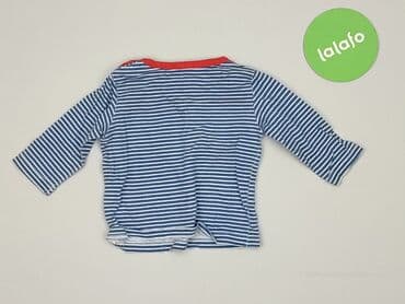 pitbull koszulka termoaktywna: Blouse, 3-6 months, condition - Good — 3