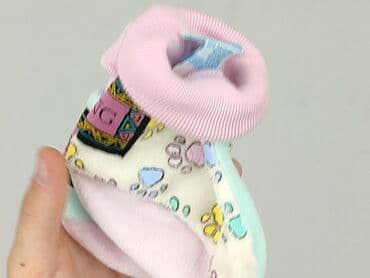 koszulka z psem: Skarpetki, Baby club, 16–18, stan - Idealny — 6
