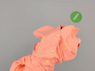 koszula myszka miki sinsay: Sinsay, Koszula damska, rozmiar XS — 6