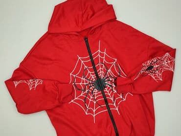 Hoodie for men, L